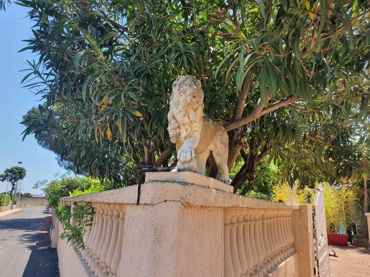 Villa Les Palmiers -Stretta Di I Mandarini Lucciana  Exteriér fotografie